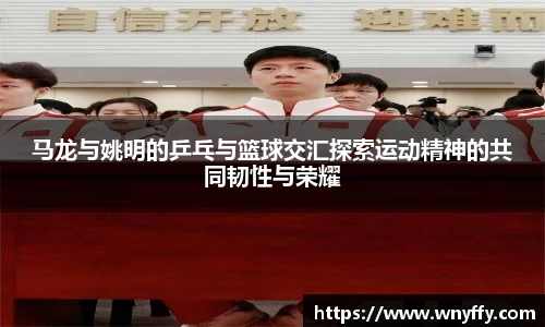 JJB竞技宝官网